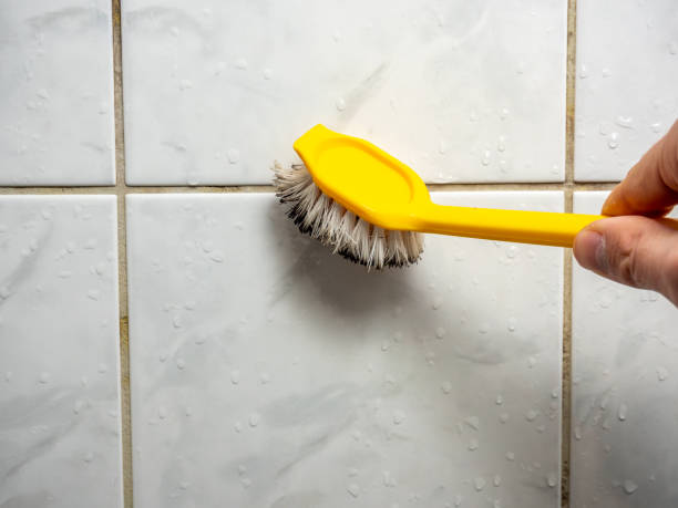 Best Same-Day Mold Removal  in Buchanan, NY