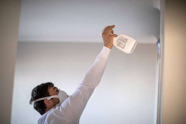 Best Residential Mold Removal  in Buchanan, NY