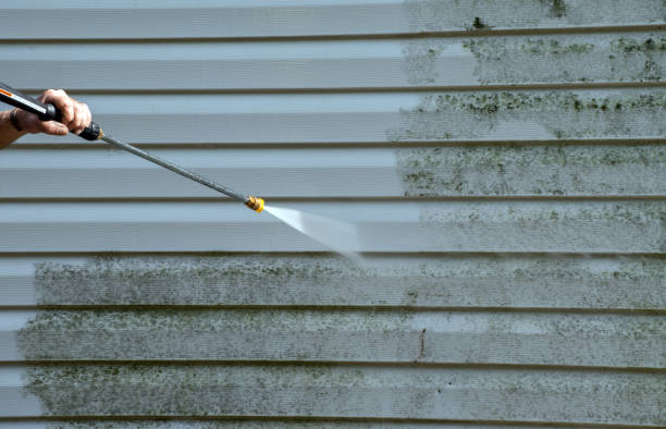 Best Commercial Mold Removal  in Buchanan, NY
