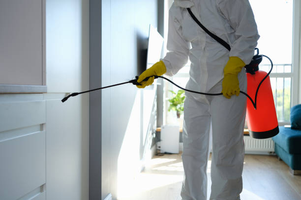 Best Best Mold Removal Companies  in Buchanan, NY